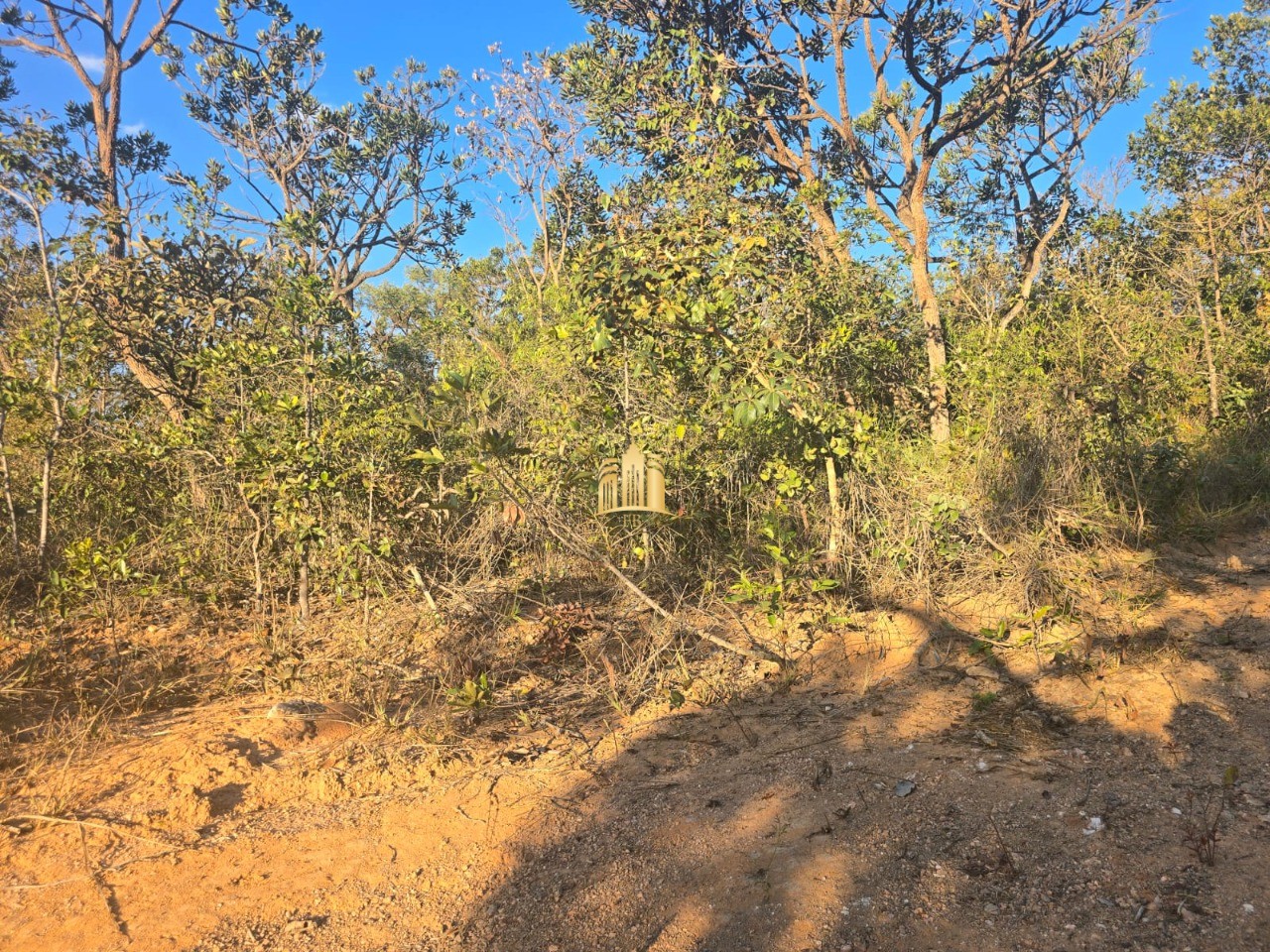 Terreno, 1000 m² - Foto 1