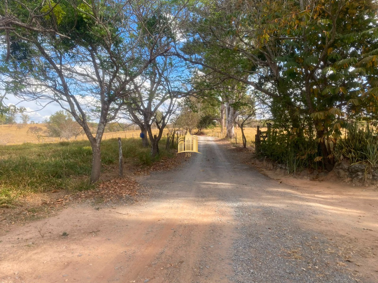 Terreno, 2 hectares - Foto 7