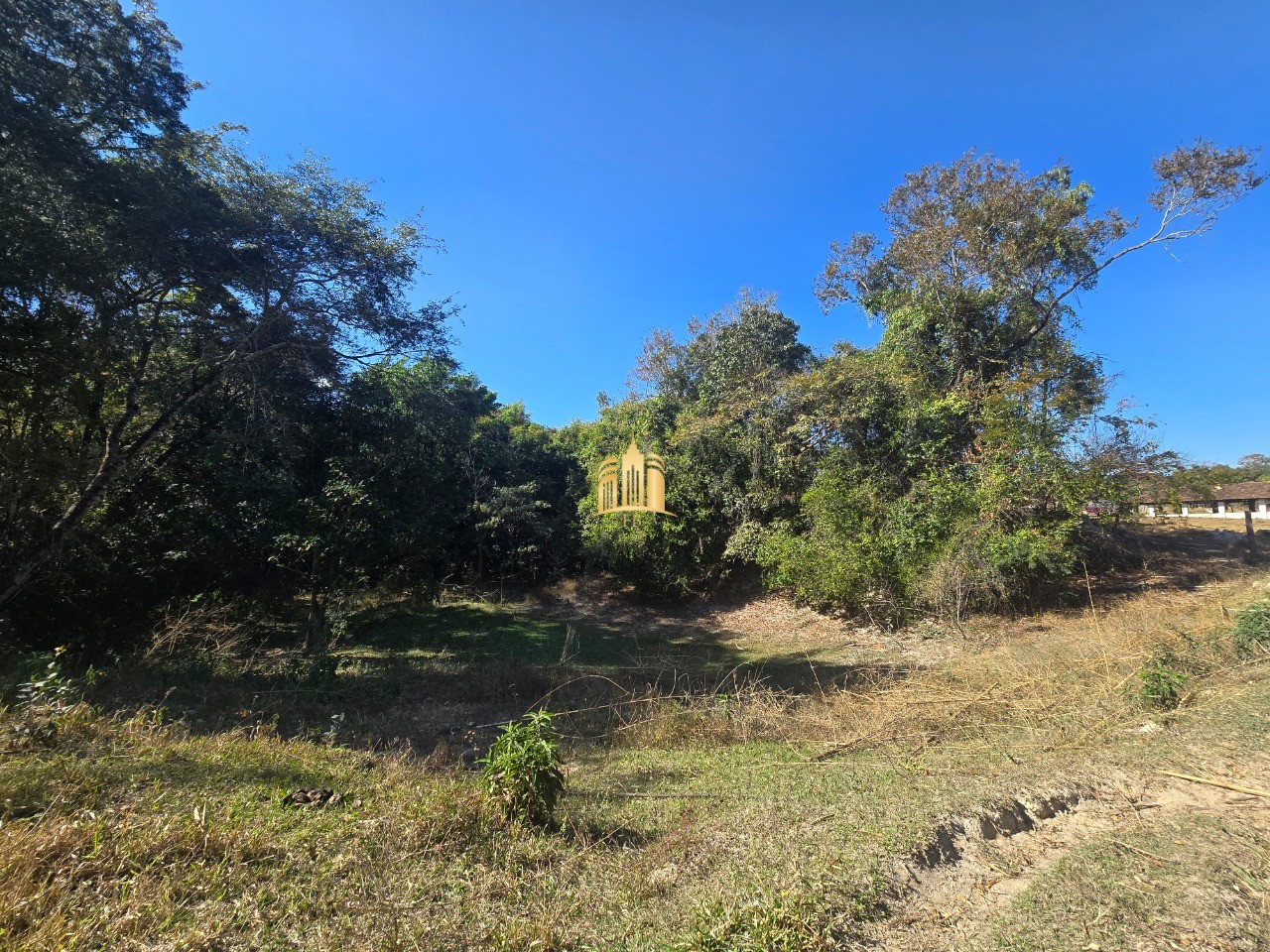 Fazenda, 6 hectares - Foto 18
