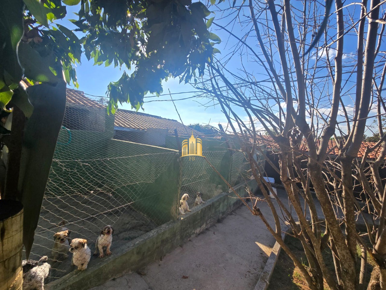 Sítio, 3 quartos, 7000 m² - Foto 65