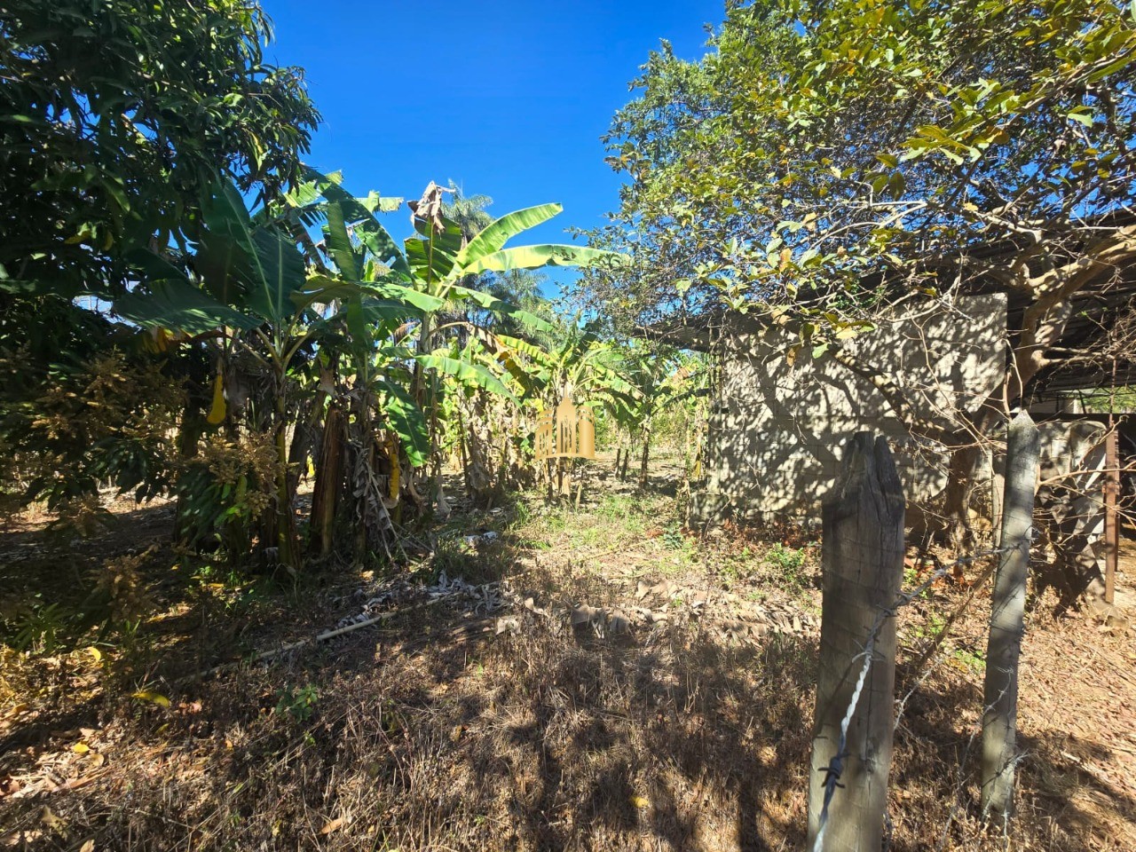 Fazenda, 1 hectares - Foto 34