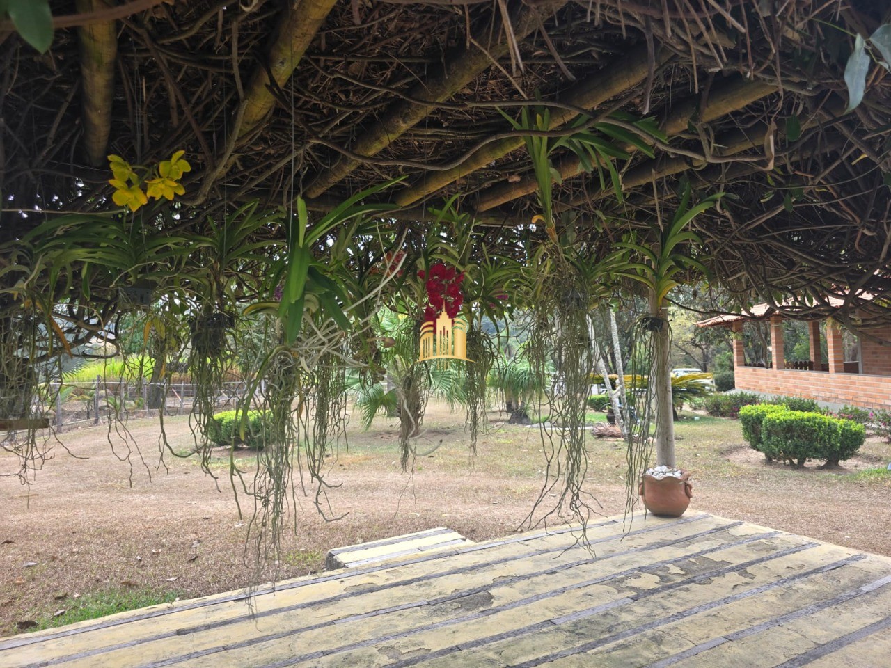 Fazenda, 10 hectares - Foto 44