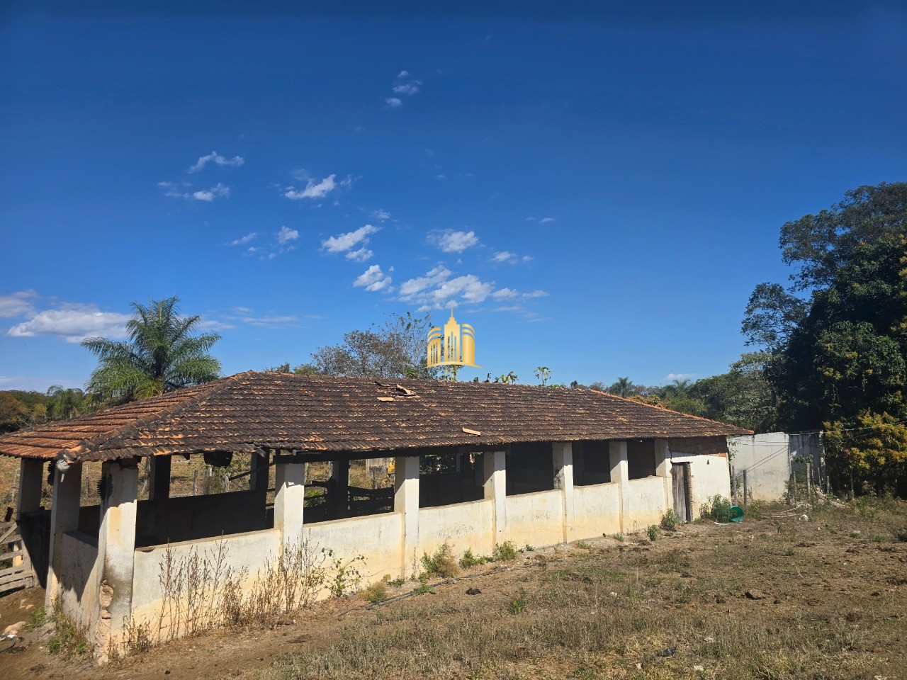 Fazenda, 6 hectares - Foto 11