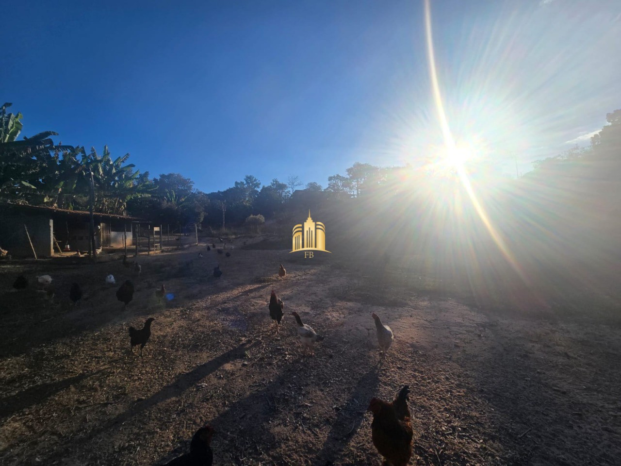 Sítio, 3 quartos, 7000 m² - Foto 13