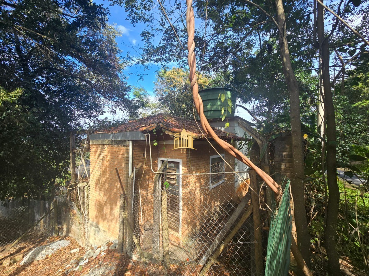 Sítio, 3 quartos, 5000 m² - Foto 9
