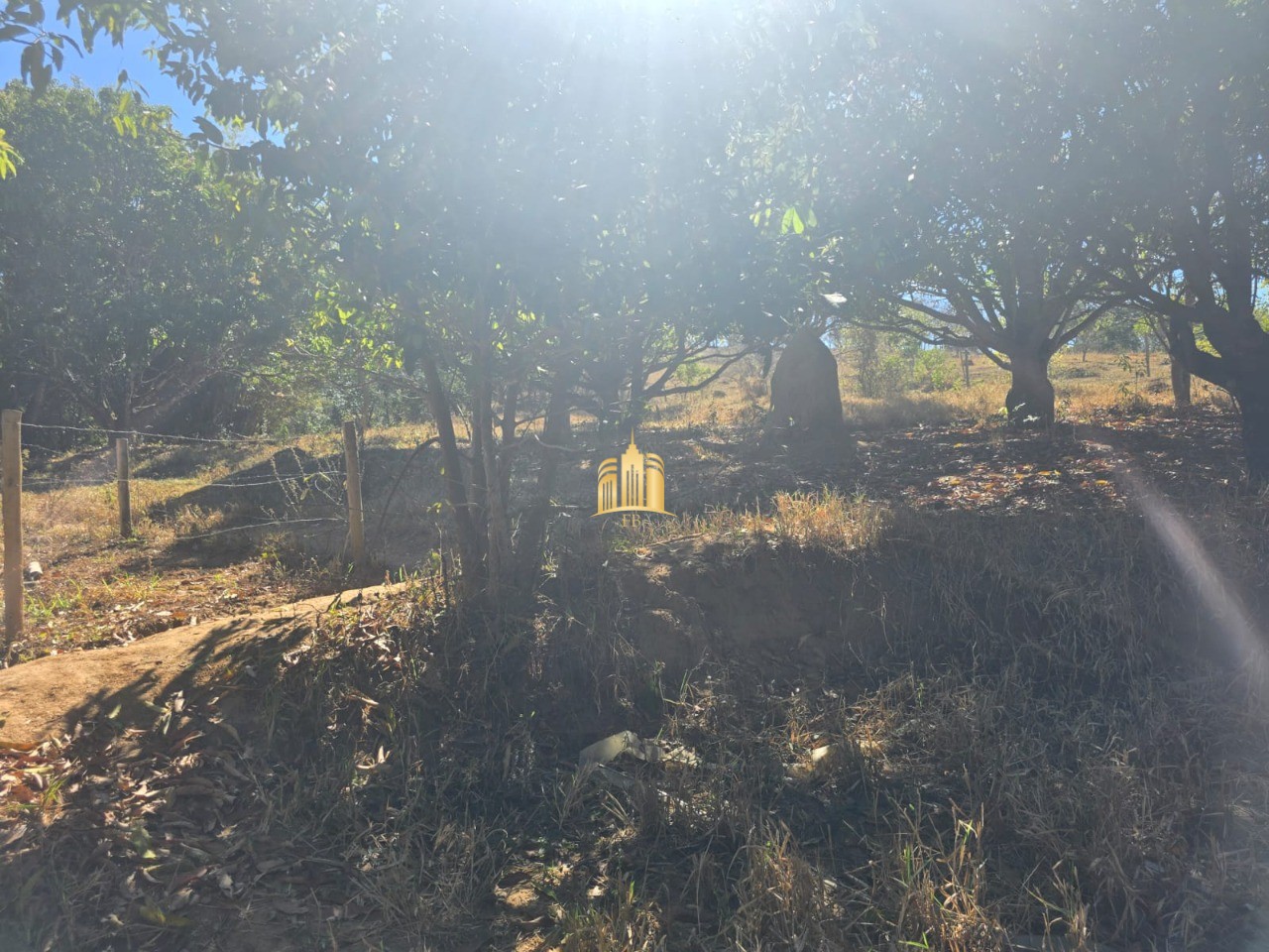 Fazenda, 1 hectares - Foto 48