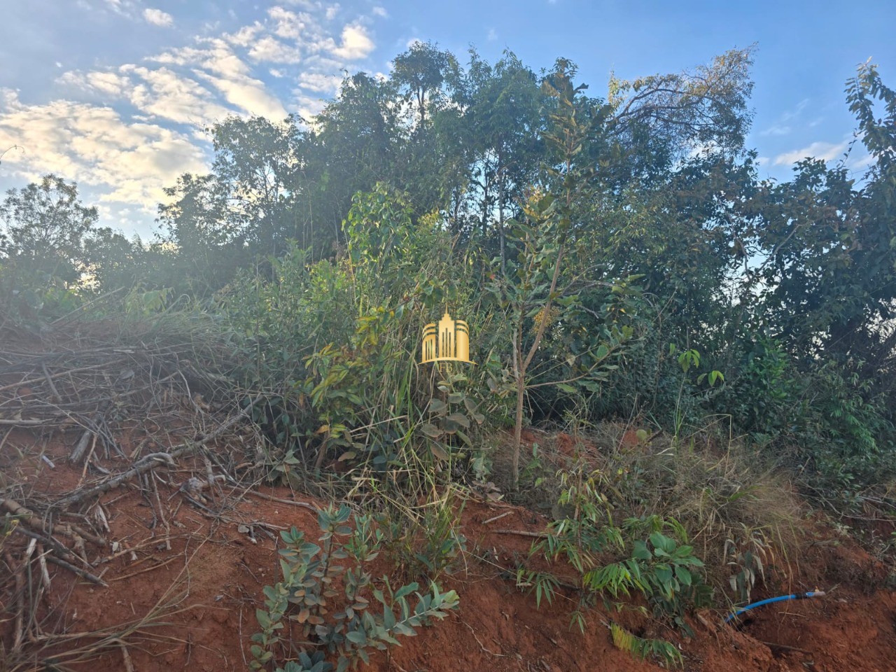 Terreno, 1000 m² - Foto 3