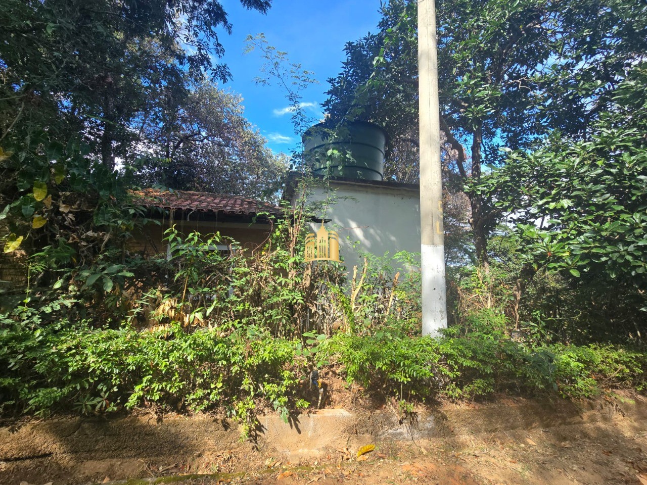 Sítio, 3 quartos, 5000 m² - Foto 5