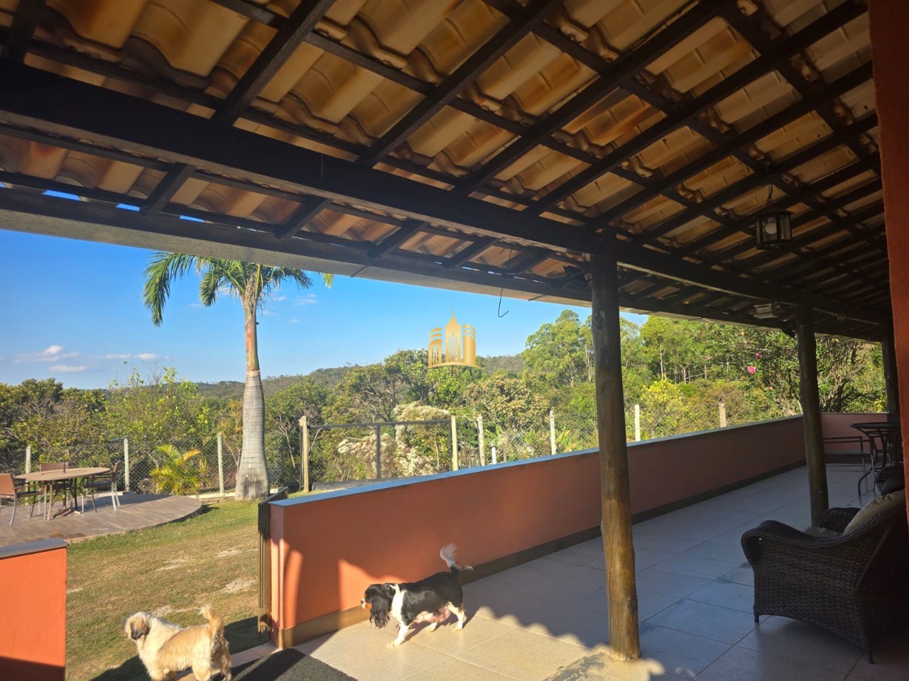 Sítio, 3 quartos, 7000 m² - Foto 47