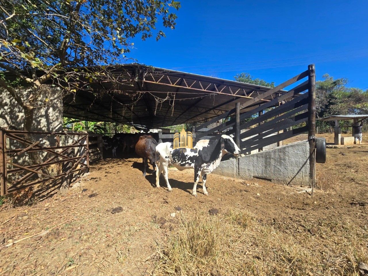 Fazenda, 1 hectares - Foto 40