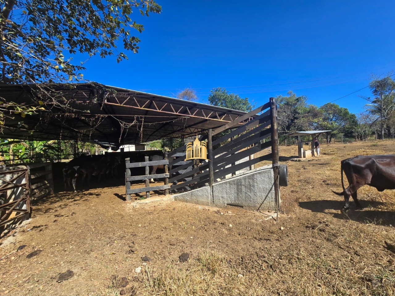 Fazenda, 1 hectares - Foto 38