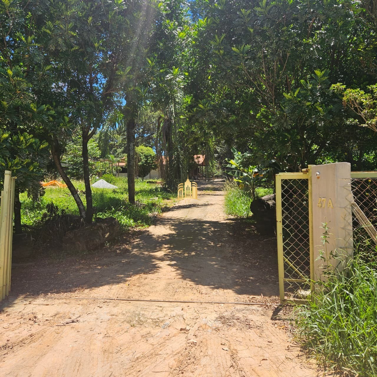 Sítio, 3 quartos, 3300 m² - Foto 2