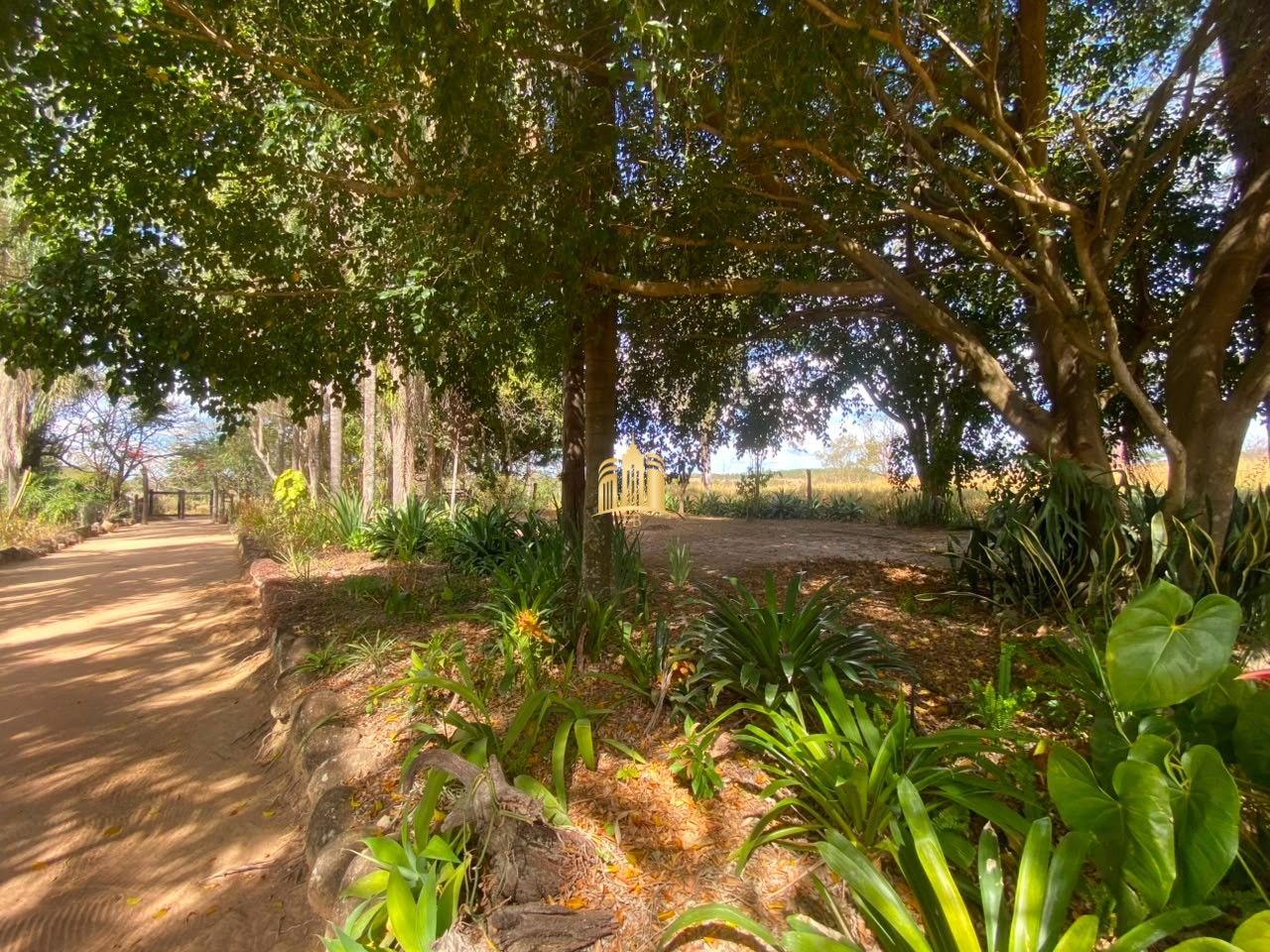 Sítio, 3 quartos, 2 hectares - Foto 1