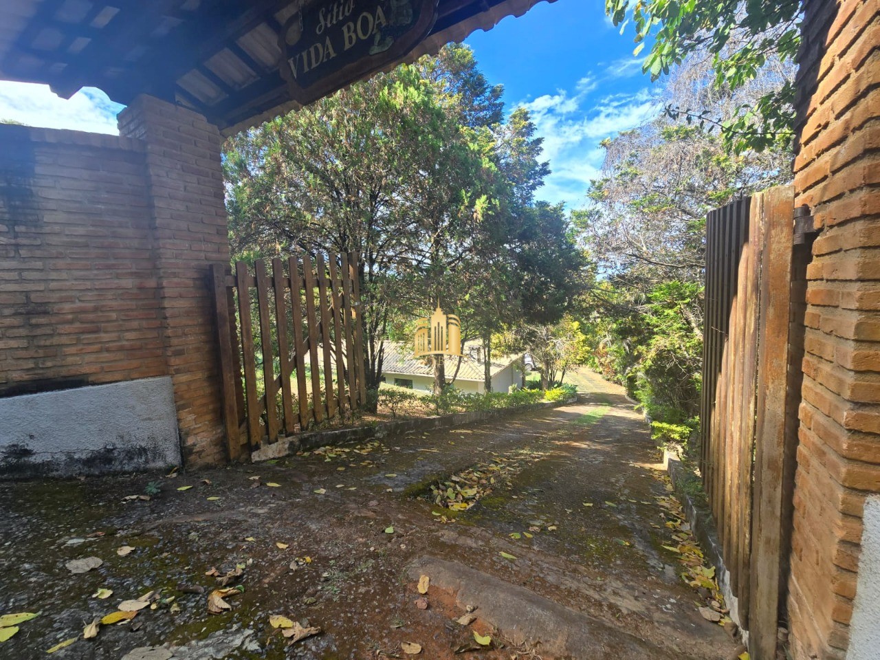 Sítio, 3 quartos, 5000 m² - Foto 4