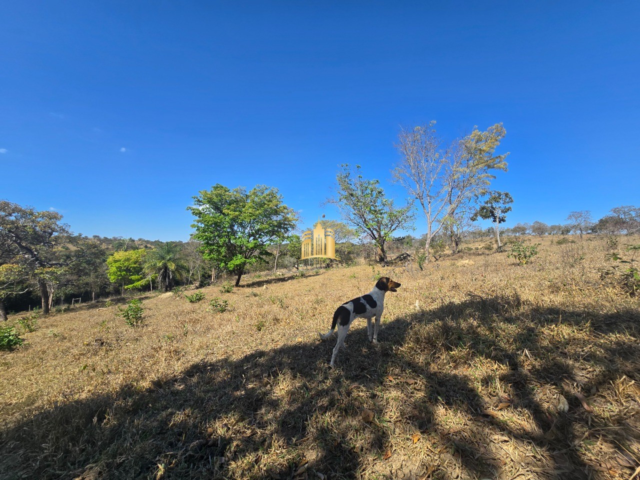 Fazenda, 6 hectares - Foto 67