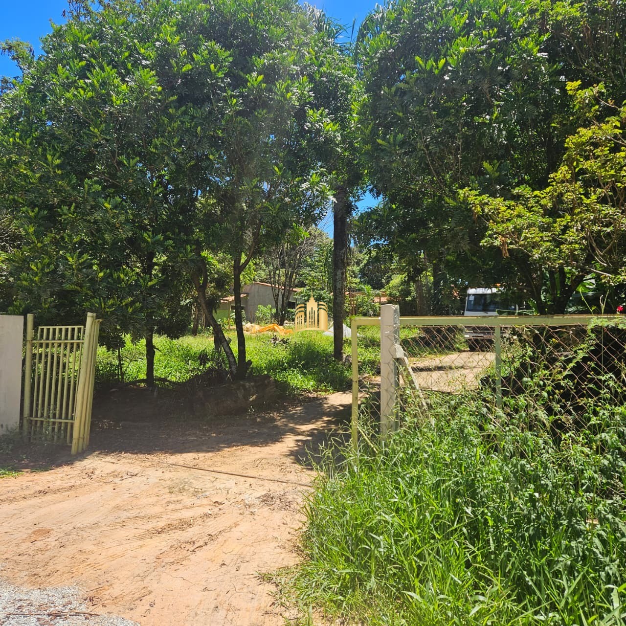 Sítio, 3 quartos, 3300 m² - Foto 3