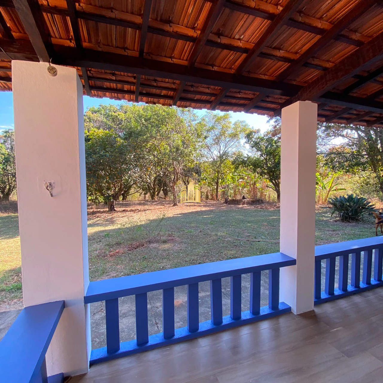 Fazenda, 7 hectares - Foto 12
