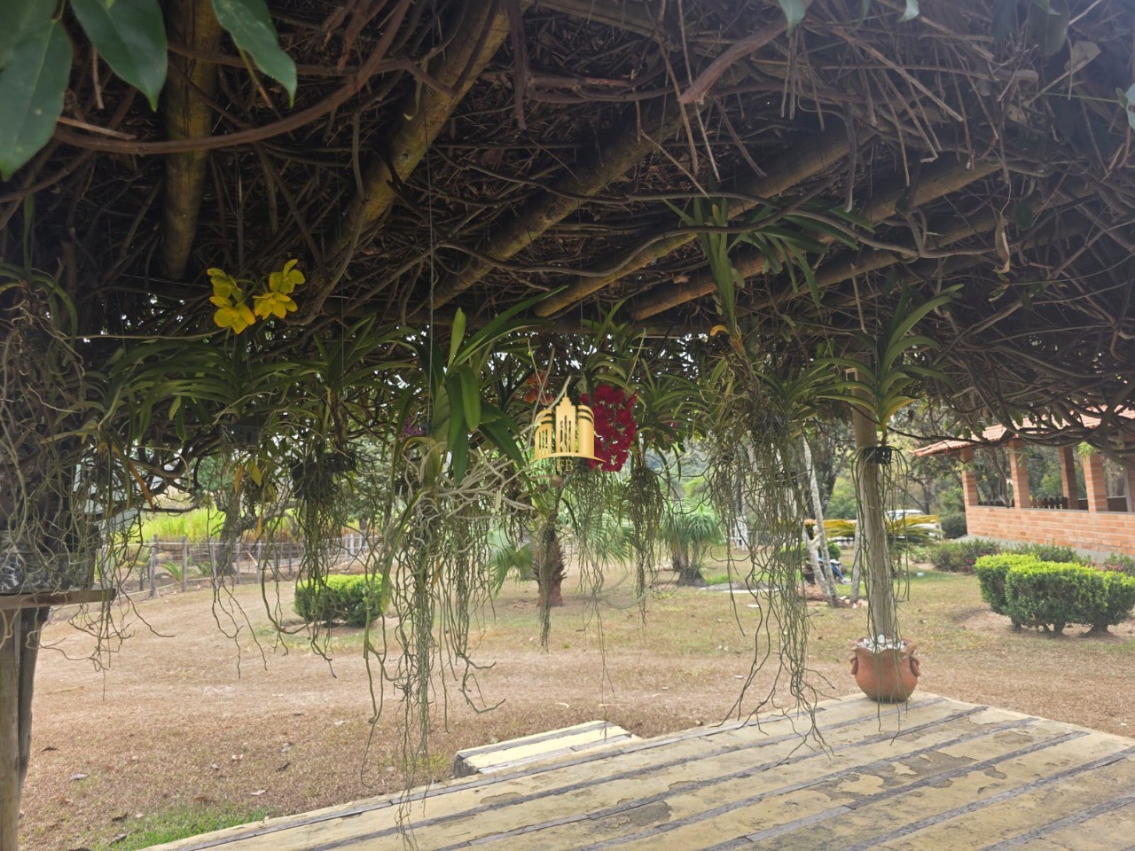 Fazenda, 10 hectares - Foto 42