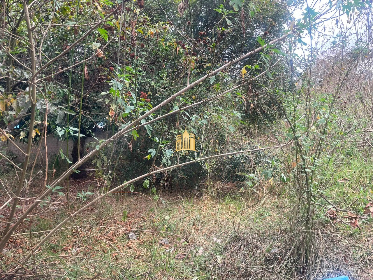 Terreno, 1135 m² - Foto 9