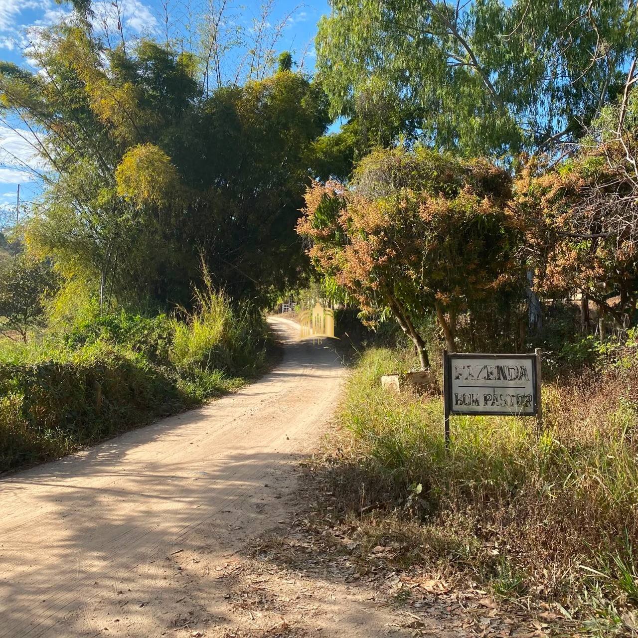Fazenda, 7 hectares - Foto 14