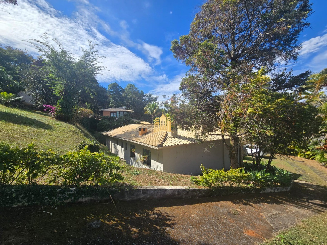 Sítio, 3 quartos, 5000 m² - Foto 11