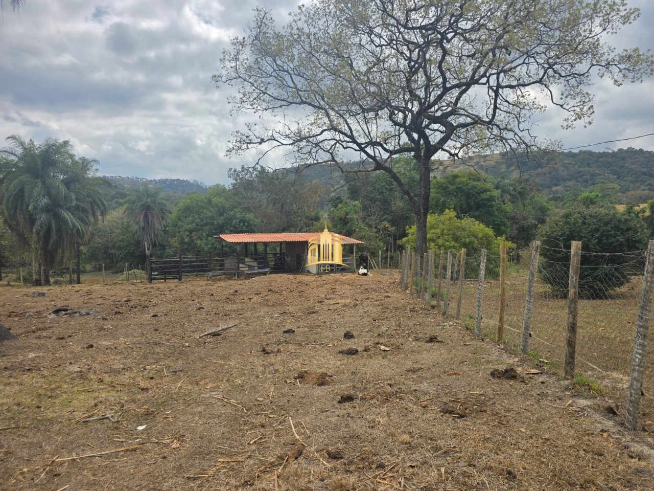 Fazenda, 10 hectares - Foto 62