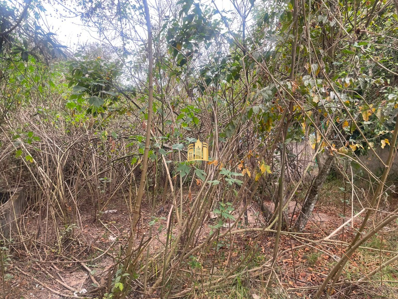 Terreno, 1135 m² - Foto 10