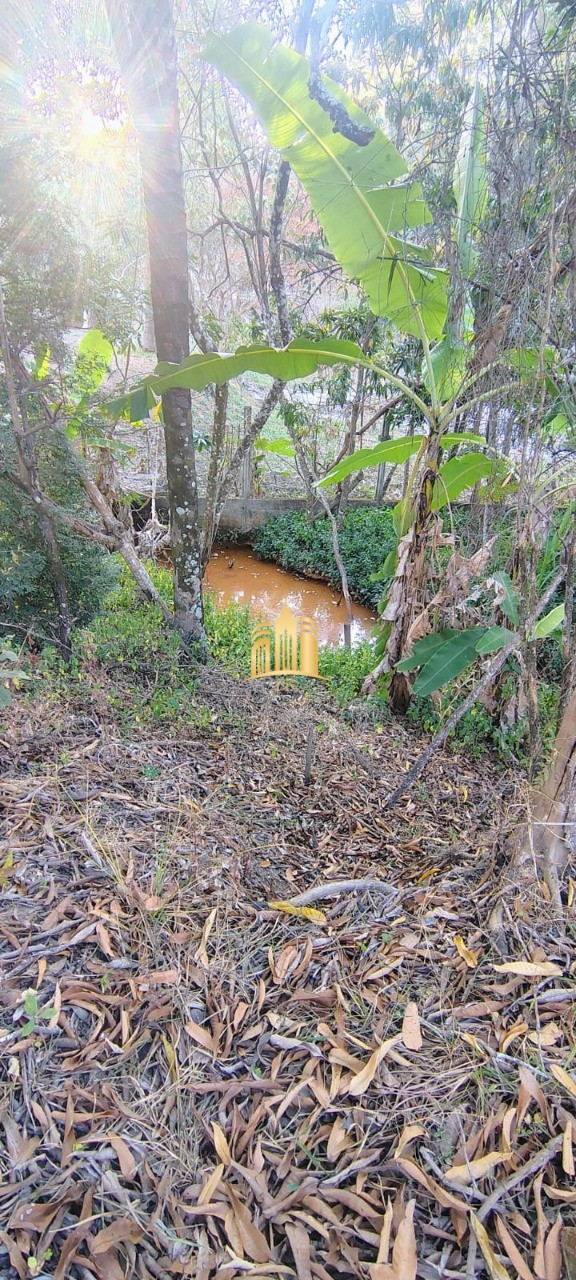 Sítio, 3 quartos, 5000 m² - Foto 10