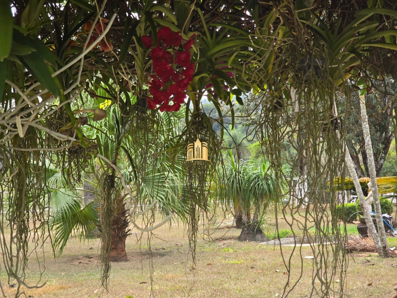Fazenda, 10 hectares - Foto 43