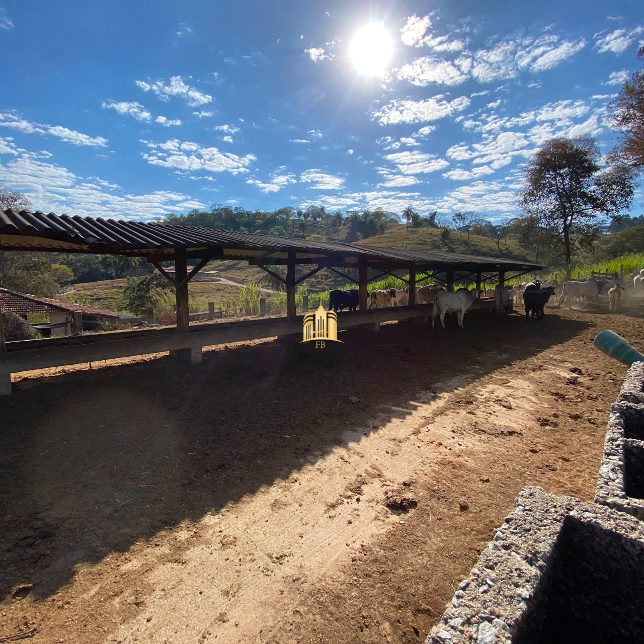 Fazenda, 7 hectares - Foto 2