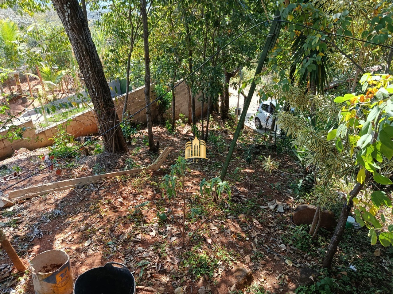 Sítio, 3 quartos, 1000 m² - Foto 4