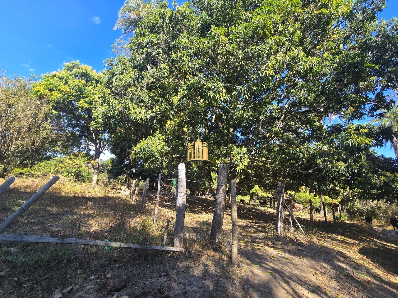 Fazenda, 6 hectares - Foto 27
