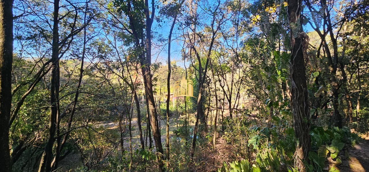 Sítio, 5 quartos, 2 hectares - Foto 60