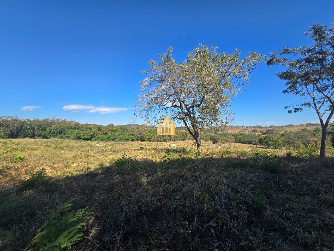 Fazenda, 6 hectares - Foto 4