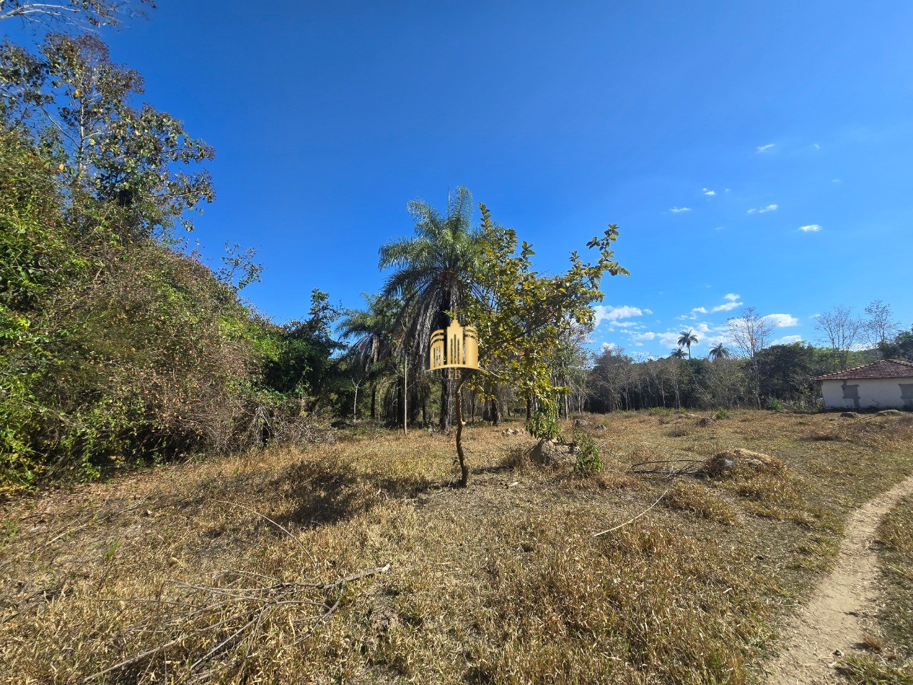 Fazenda, 6 hectares - Foto 19