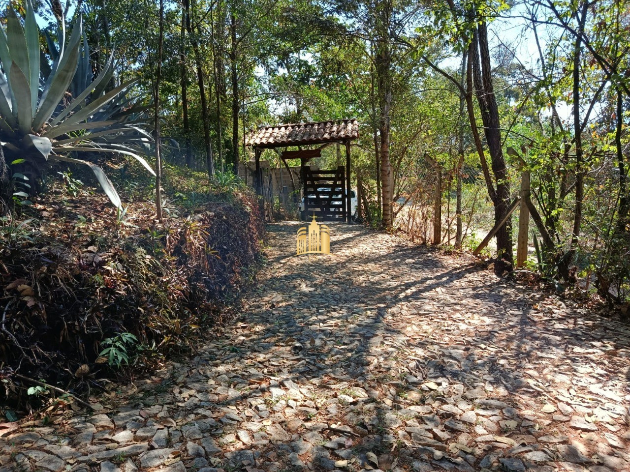 Sítio, 3 quartos, 1000 m² - Foto 6