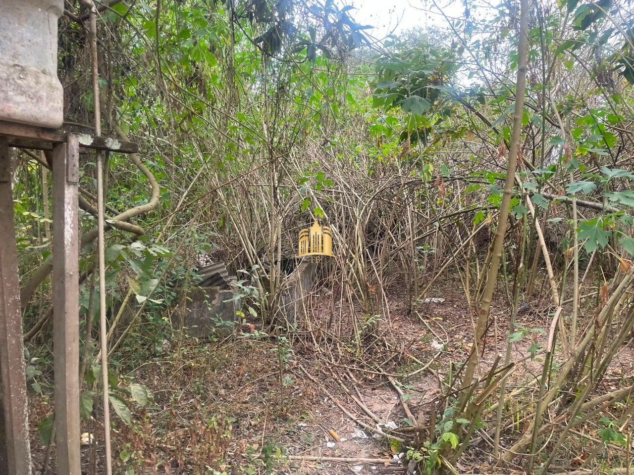 Terreno, 1135 m² - Foto 6