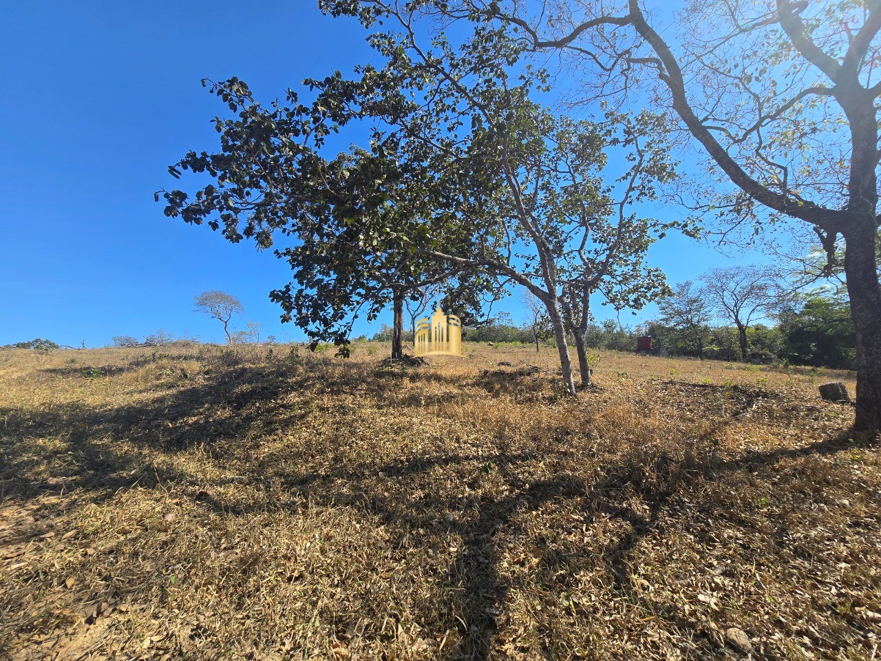 Fazenda, 6 hectares - Foto 68