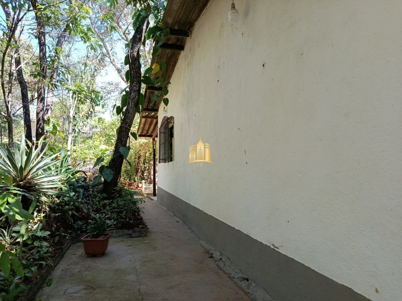 Sítio, 3 quartos, 1000 m² - Foto 5