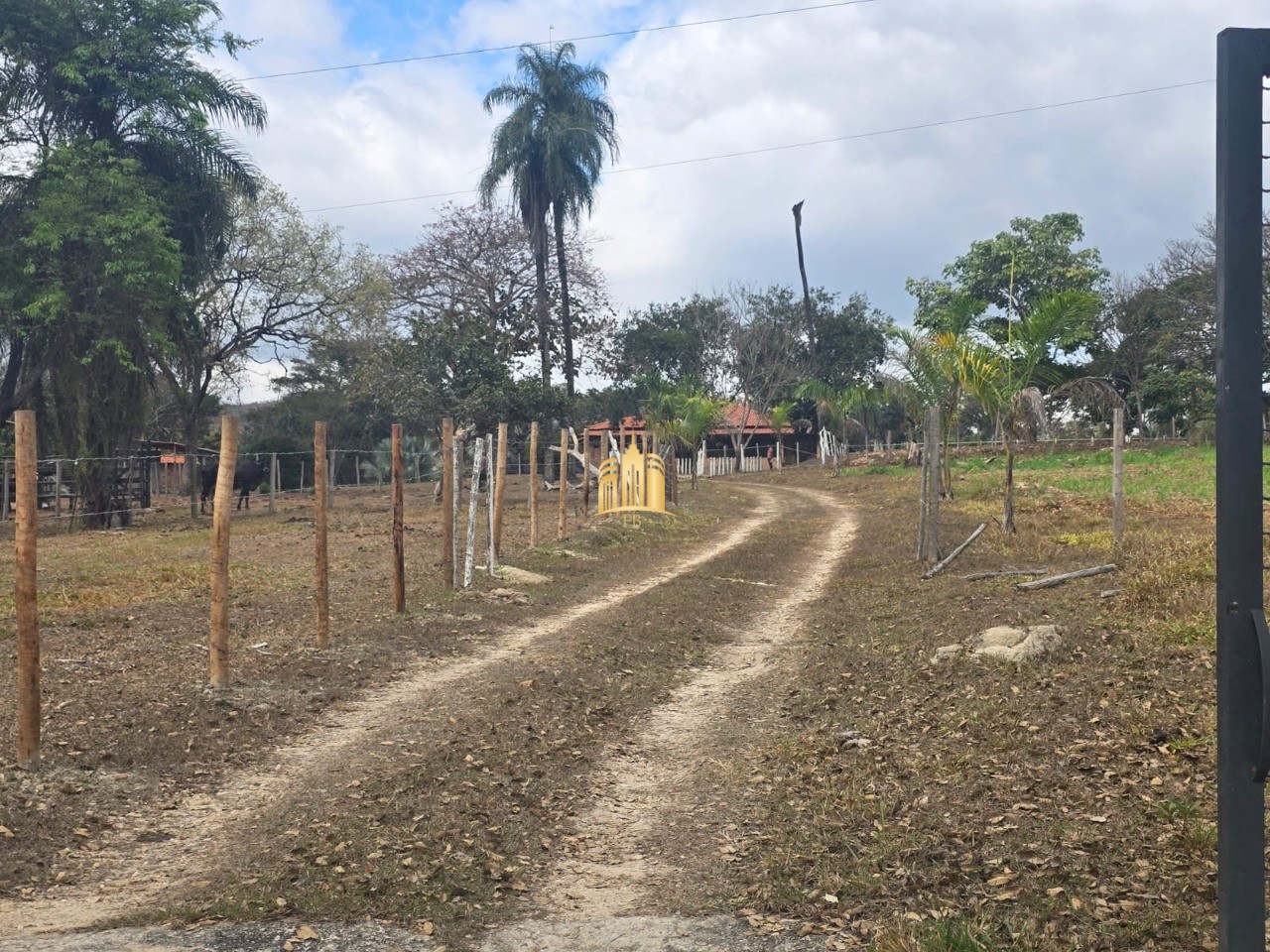 Fazenda, 10 hectares - Foto 2