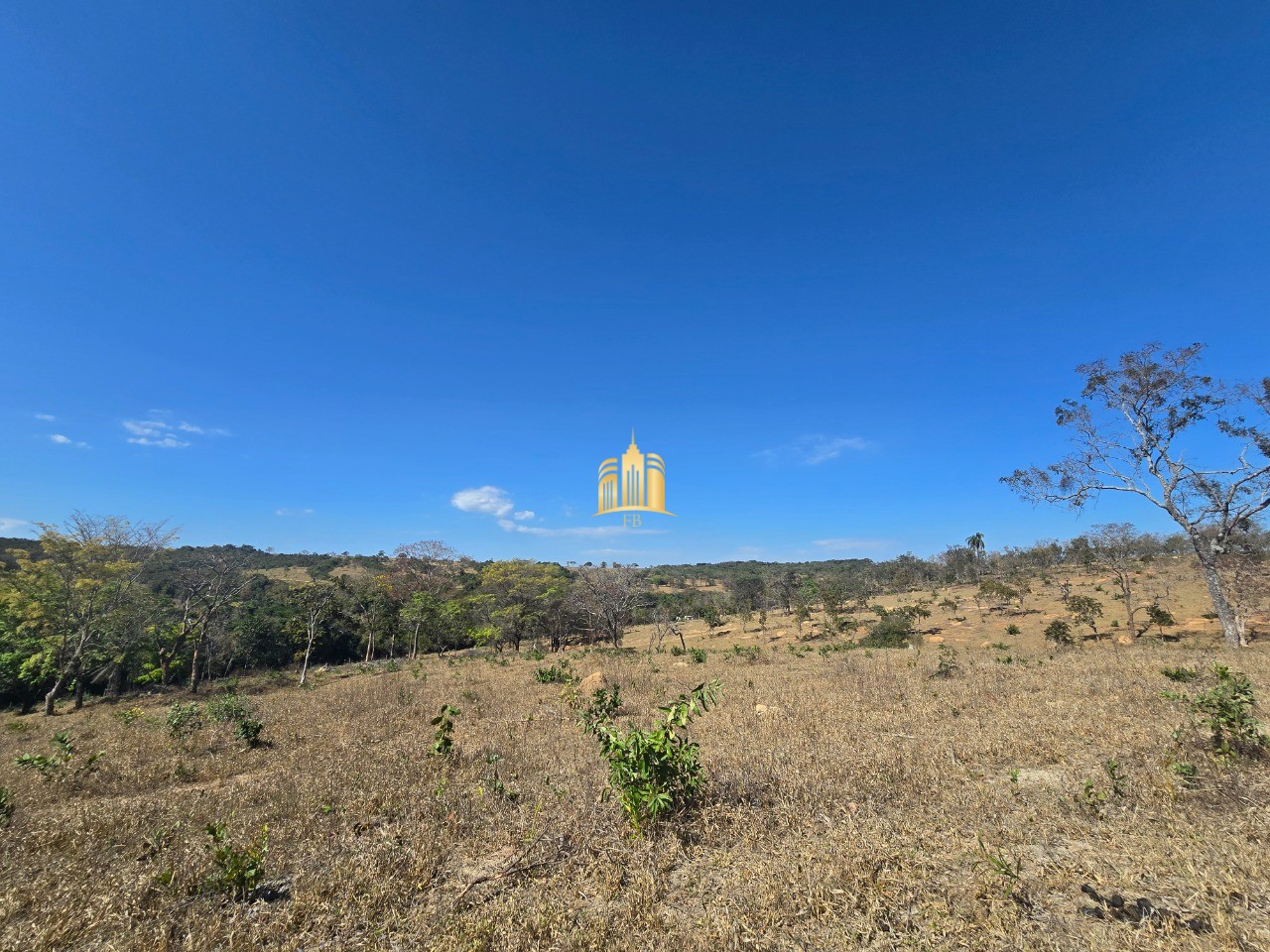 Fazenda, 6 hectares - Foto 80