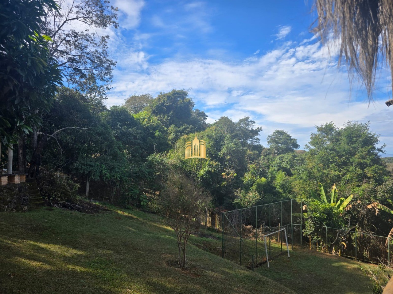 Sítio, 3 quartos, 5000 m² - Foto 14