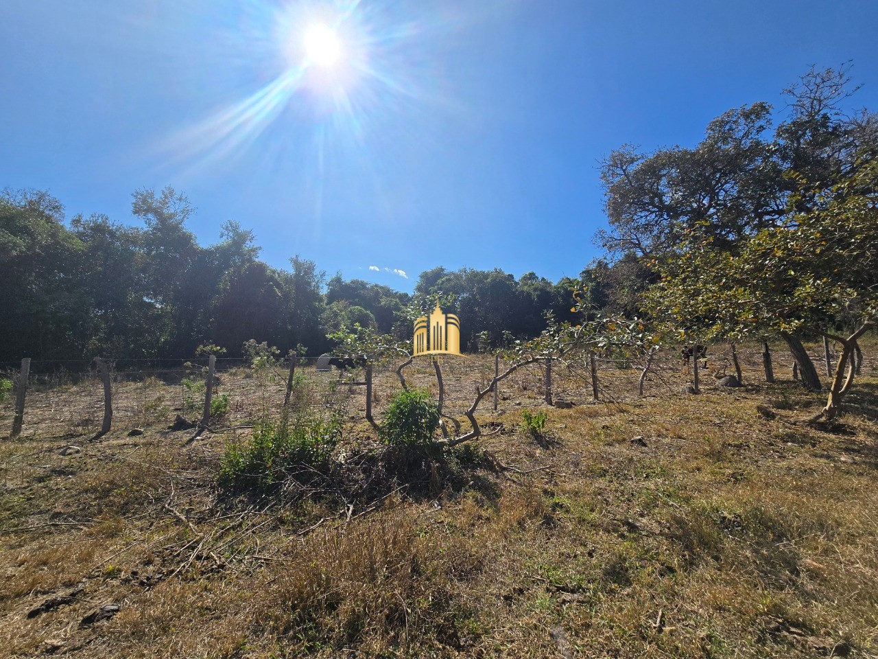 Fazenda, 6 hectares - Foto 13