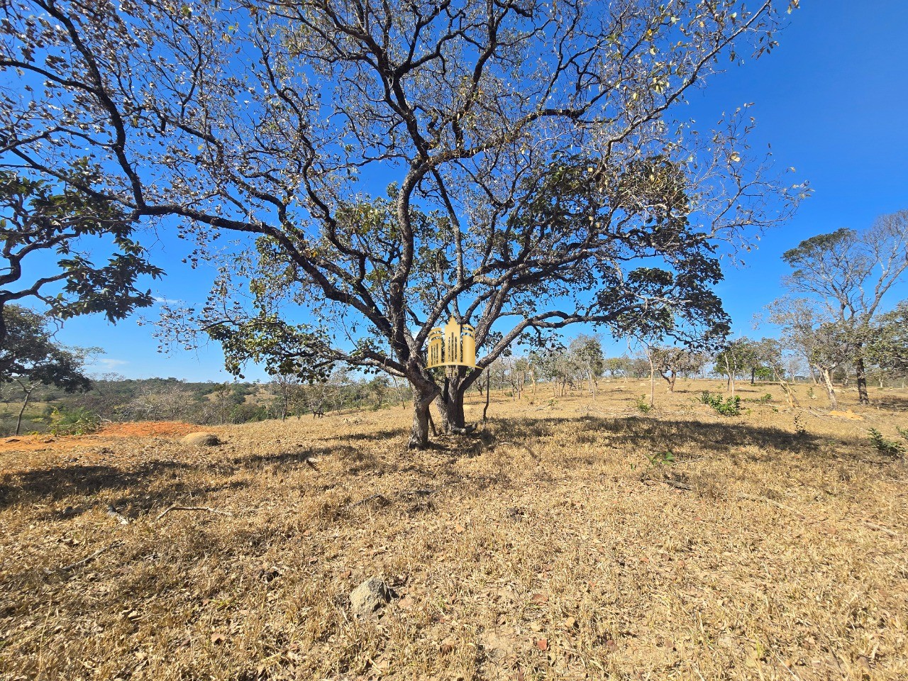 Fazenda, 6 hectares - Foto 75