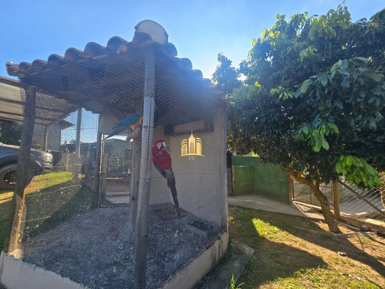 Sítio, 3 quartos, 7000 m² - Foto 58
