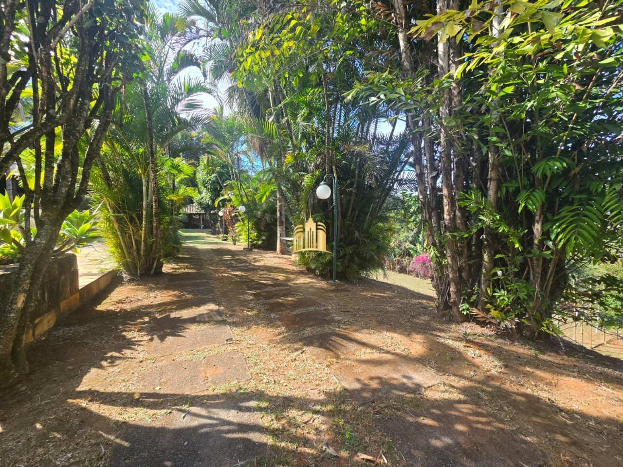 Sítio, 3 quartos, 5000 m² - Foto 13