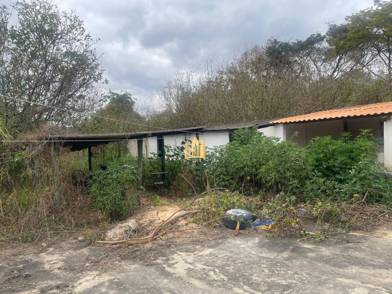 Casa, 4 quartos - Foto 4