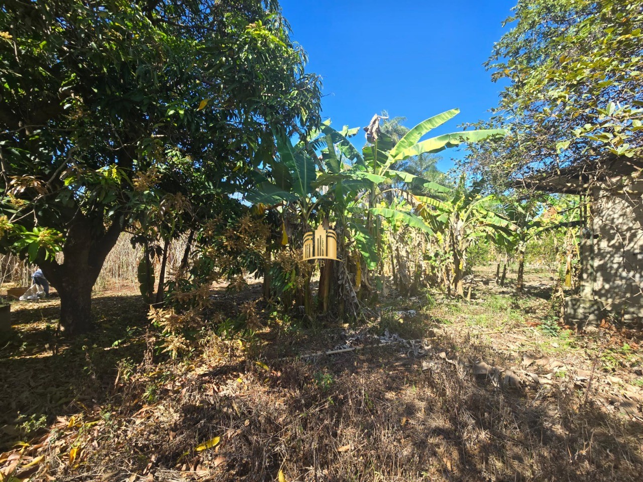 Fazenda, 1 hectares - Foto 39