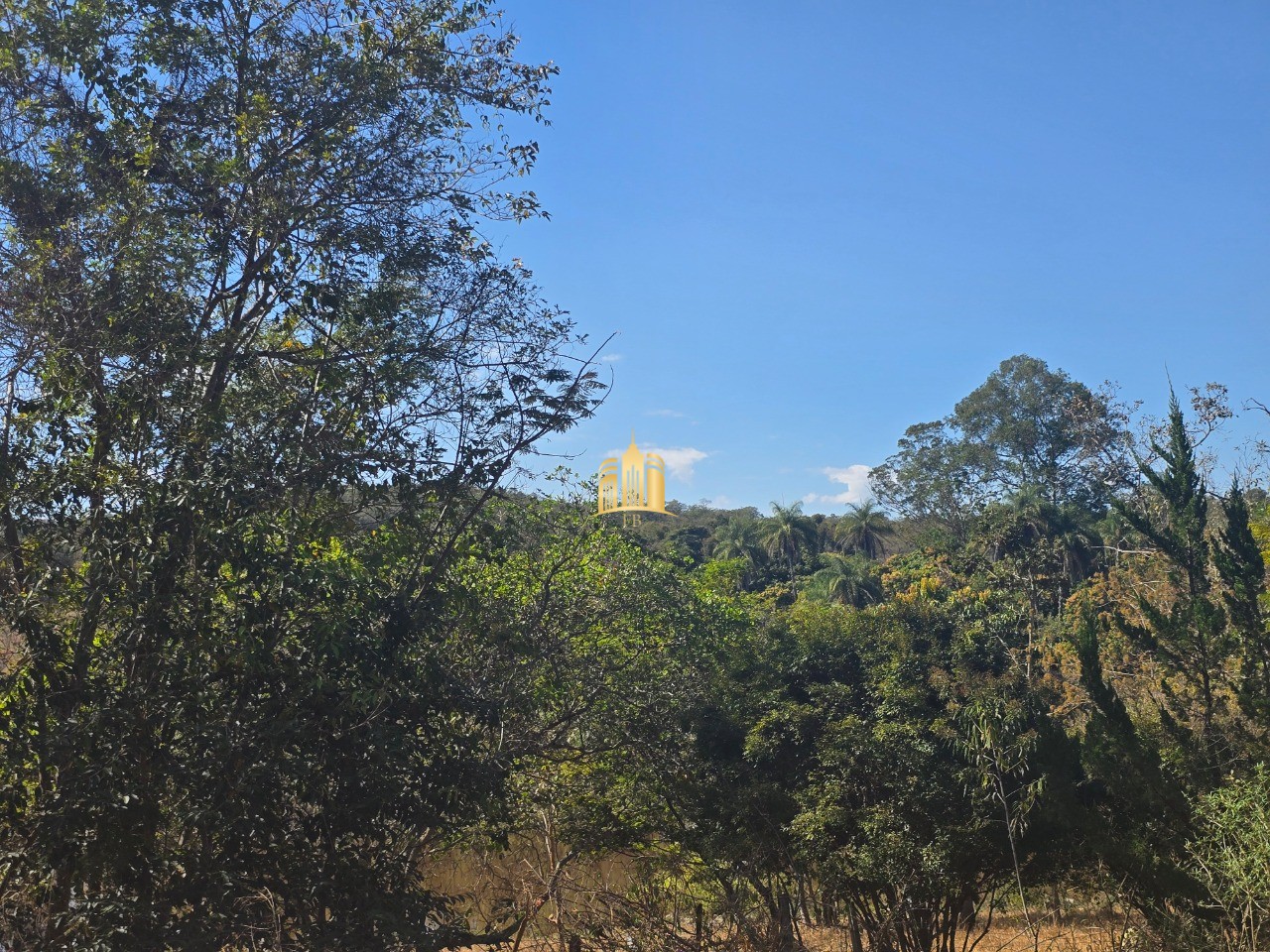 Fazenda, 6 hectares - Foto 31