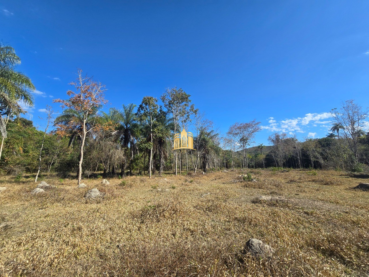 Fazenda, 6 hectares - Foto 23